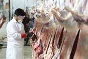 نظارت بهداشتی و شرعی بر استحصال بیش از 12 هزار تن گوشت قرمز در شهرستان اصفهان