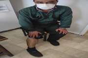 واکسیناتور شبکه دامپزشکی شهرستان نطنز بر اثر حمله سگ مجروح شد
